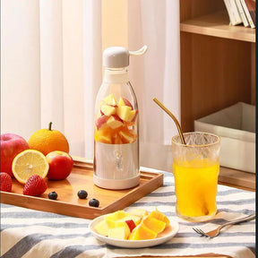 Mini Portable Blender Fruit Mixer