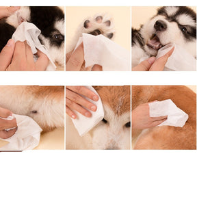 Wet wipes for pets