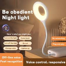 Smart Voice Control USB Night Light